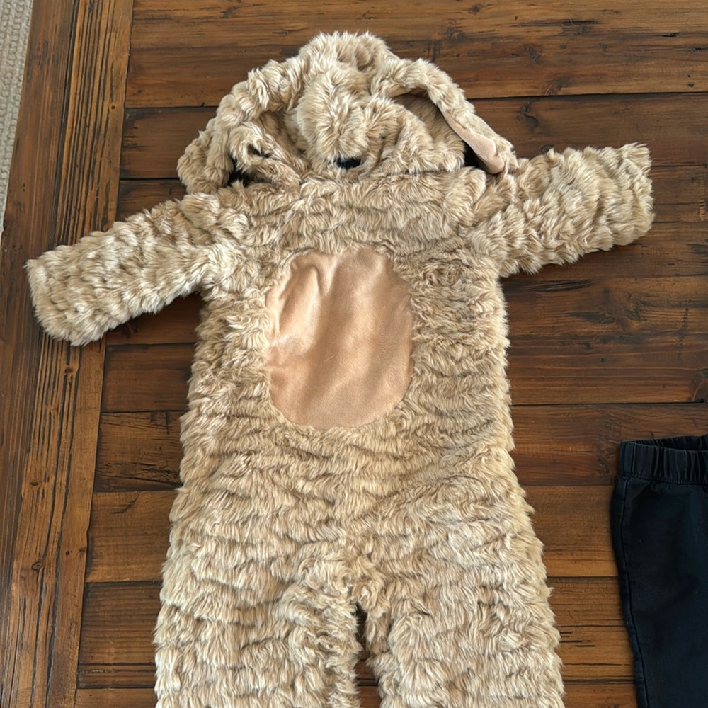 Pottery Barn Kids puppy costume